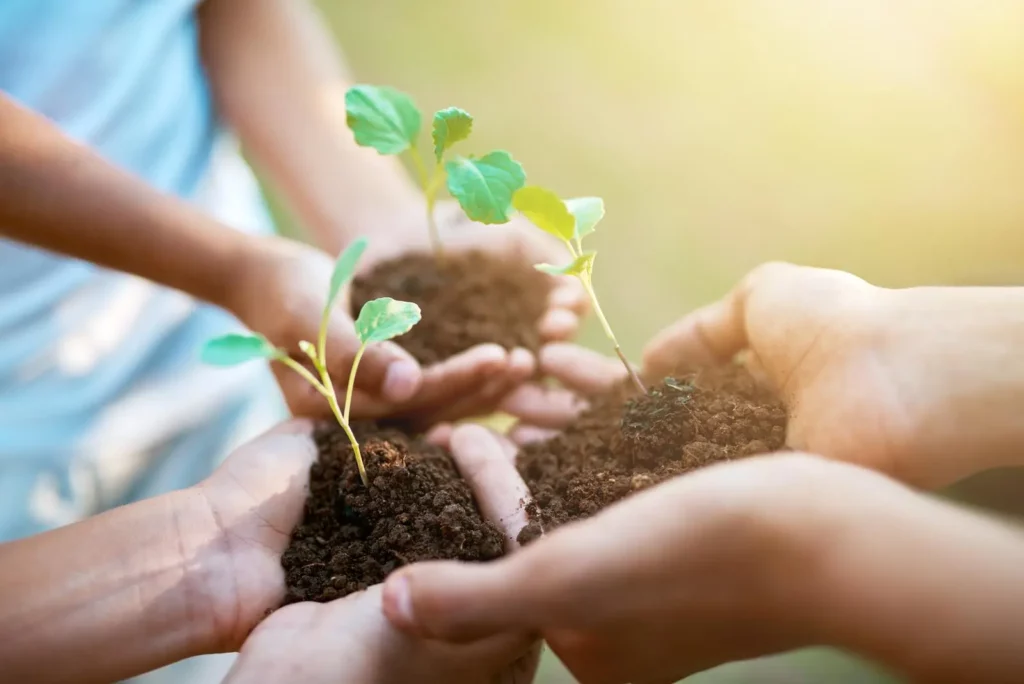 Kinder halten Blumen Sprösslinge